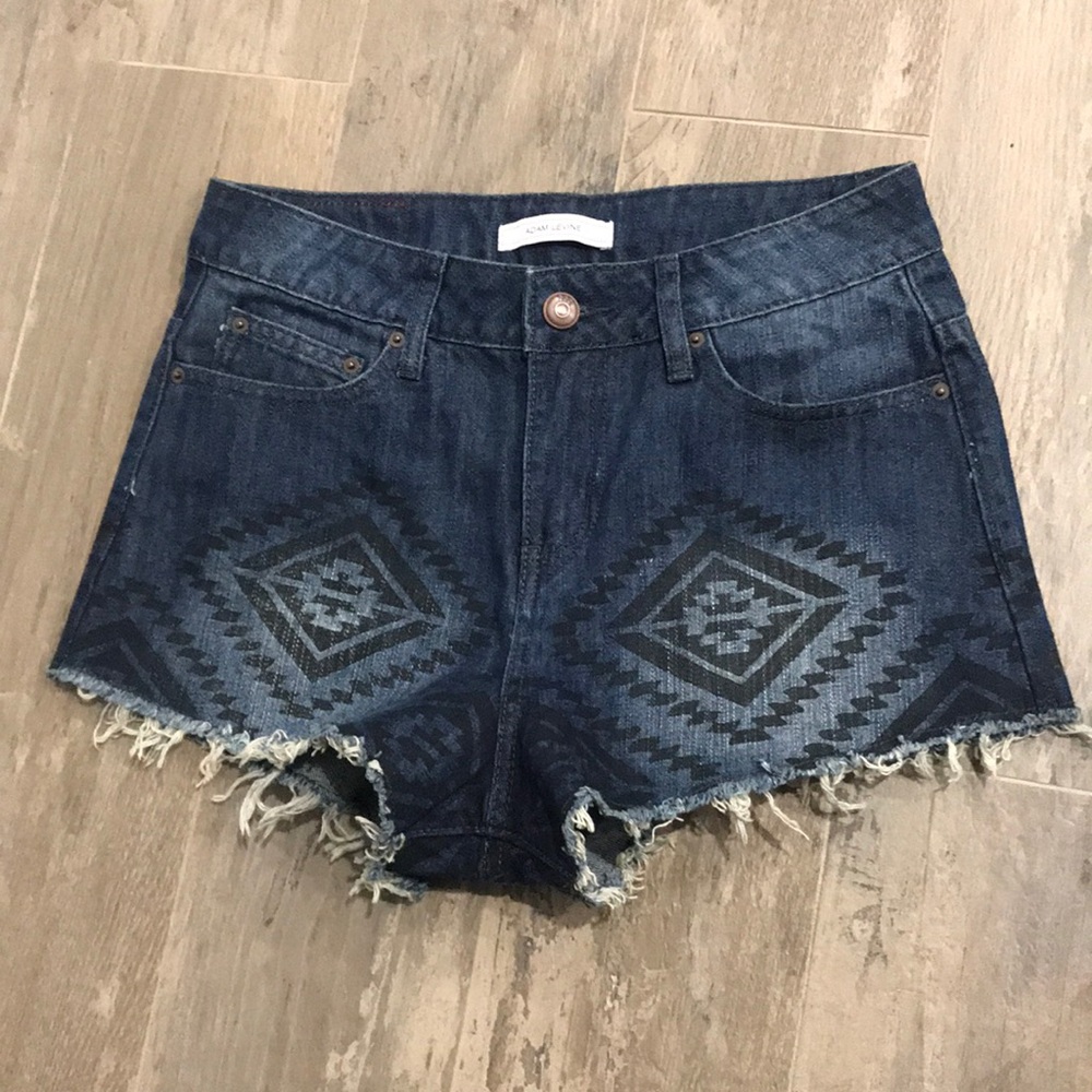 Adam Levine shorts